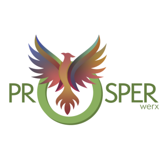 WerxMarketing Logo - bright owl eyes above the words WerxMarketing